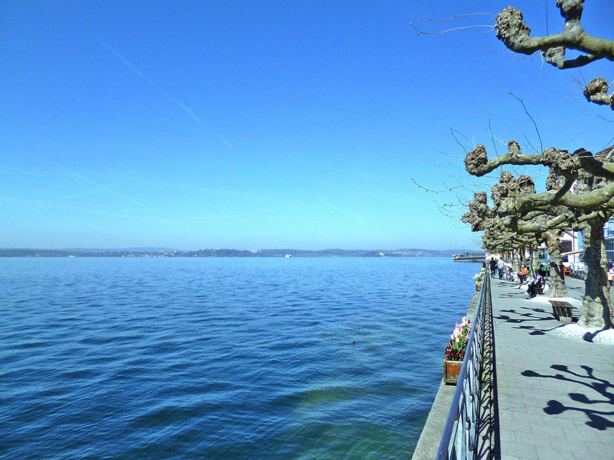 Apartment Bears, Meersburg Exteriör bild